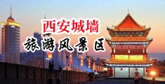 鸡巴操逼视频无码中国陕西-西安城墙旅游风景区