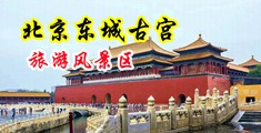 想艹宝宝骚逼中国北京-东城古宫旅游风景区